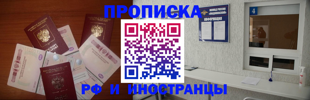 прописка ребенка в Шебекино